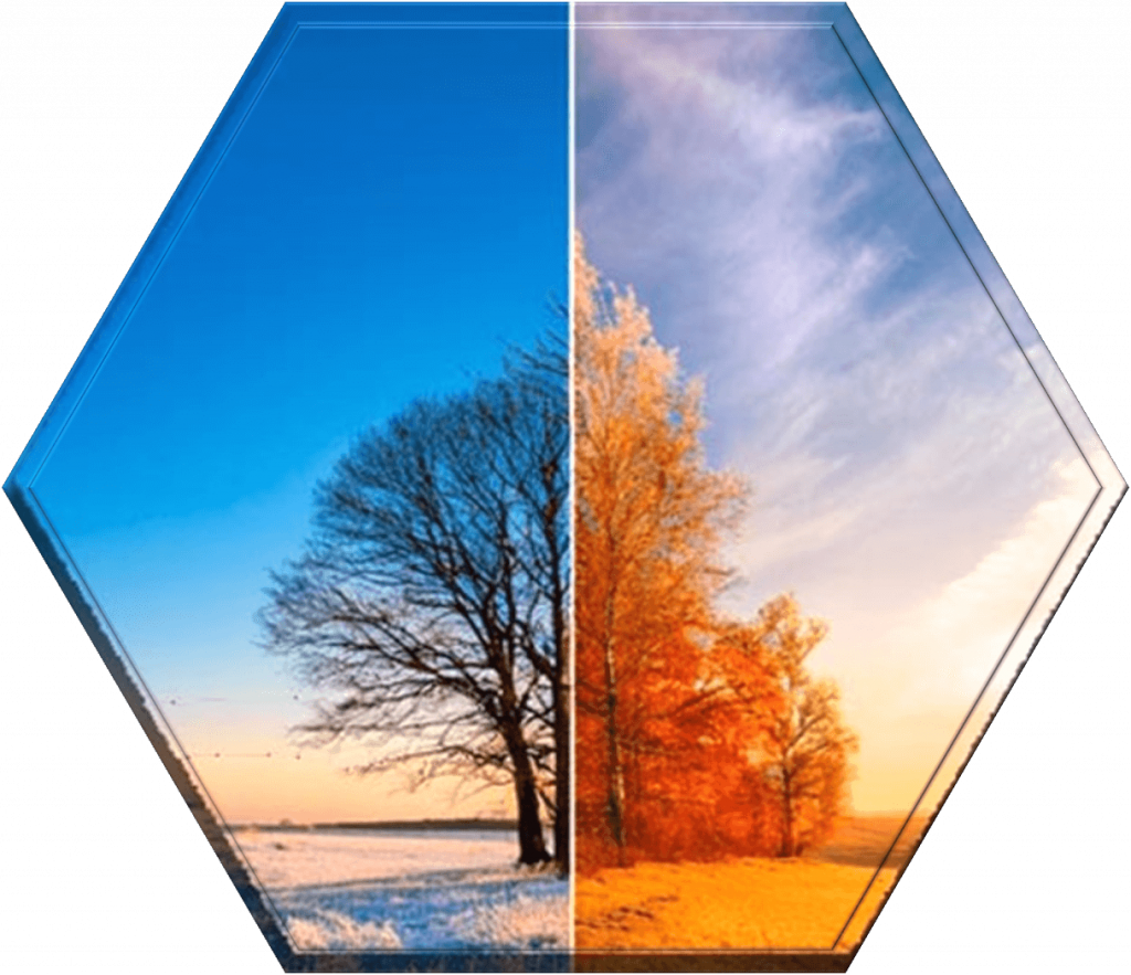 Hexagon - Jahrescoaching