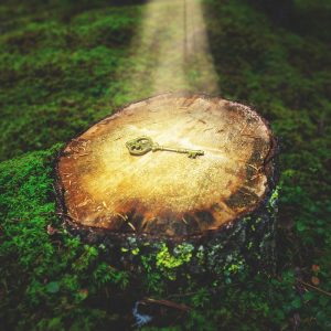 Schlüssel im Licht auf Baumstumpf