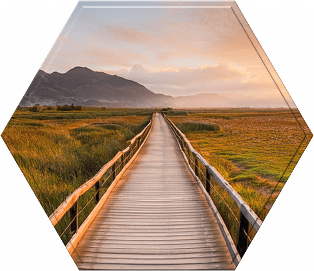 Hexagon - Jahrescoaching