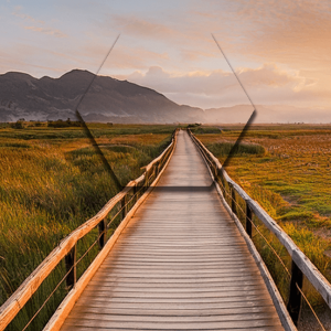 Jahrescoaching Hexagon