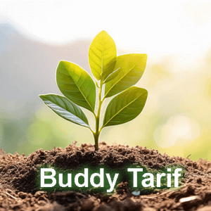 NLP Einstiegsseminar Produktbild Buddy Tarif