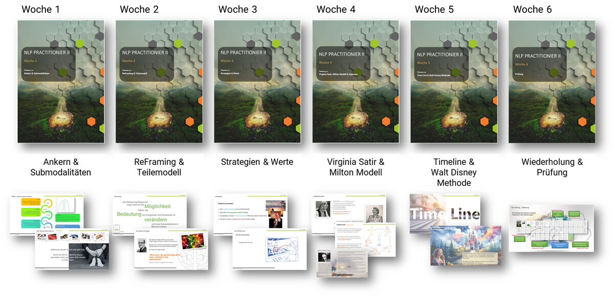 Practitionier Seminar Inhalte