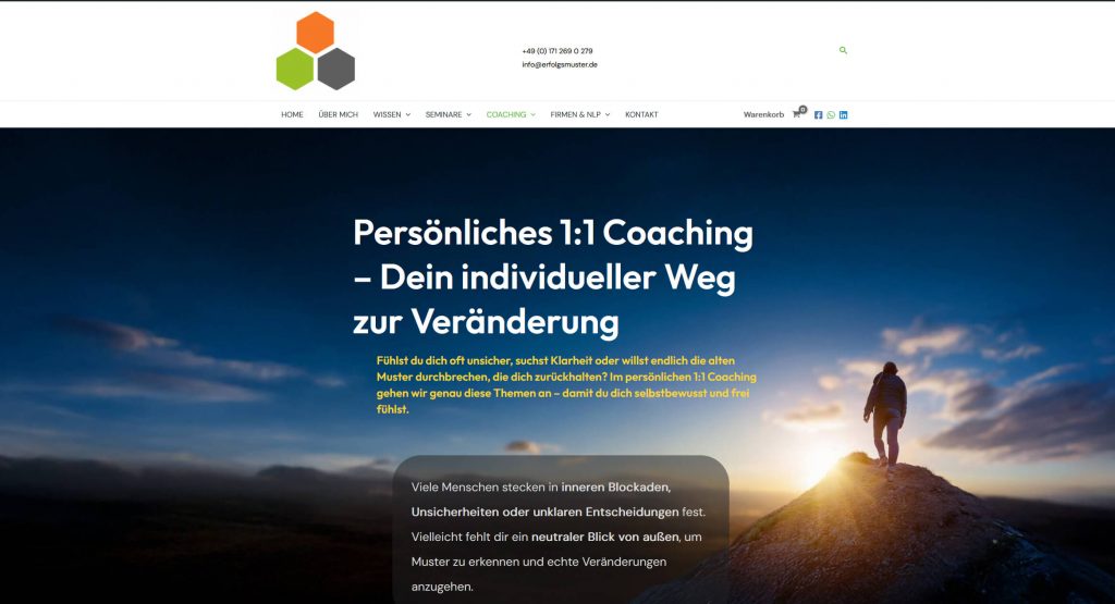 Website 1zu1 Coaching